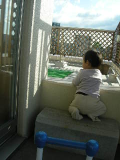 c0126614_38295.jpg