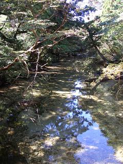 c0117621_21555690.jpg