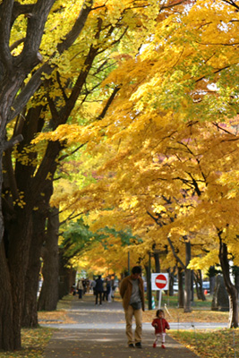 c0024729_22255189.jpg