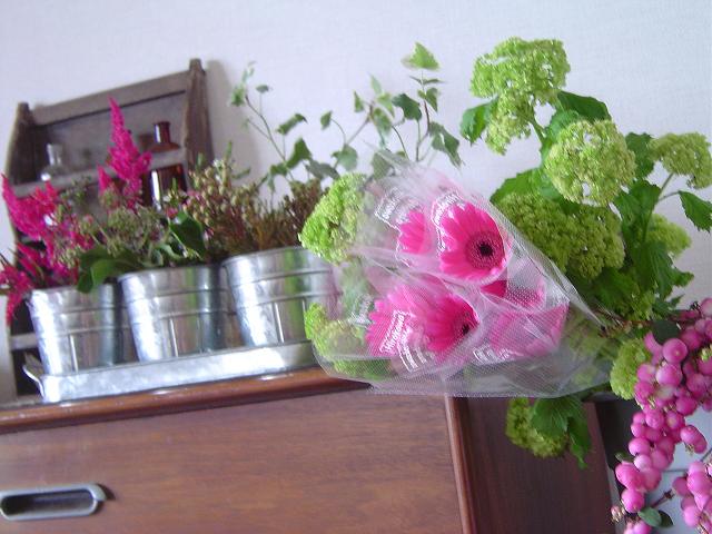 c0127029_858349.jpg