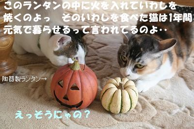 ハロウィーン_f0063729_15351396.jpg