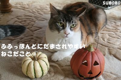 ハロウィーン_f0063729_15352358.jpg