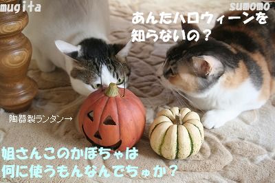 ハロウィーン_f0063729_1535466.jpg