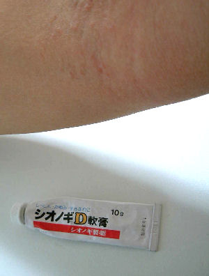 c0069036_051719.jpg