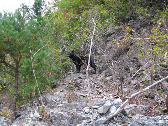 f0137544_19375090.jpg