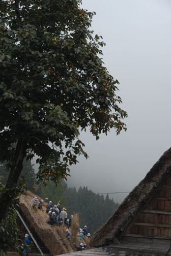c0093046_6502321.jpg