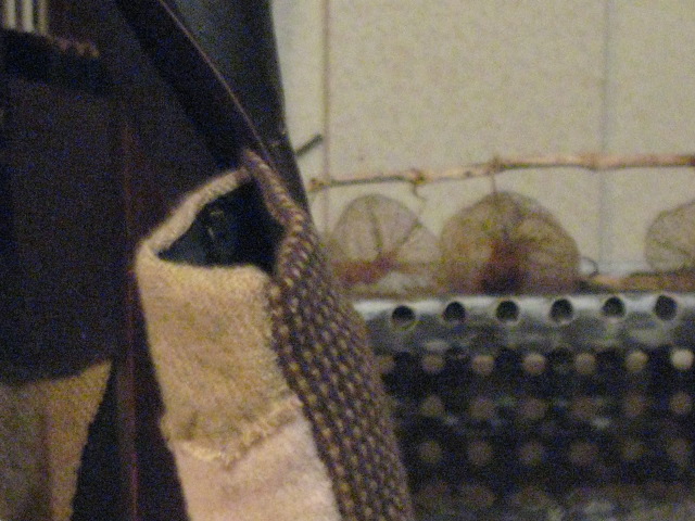なんとなく気にいっている写真_d0101846_6561465.jpg