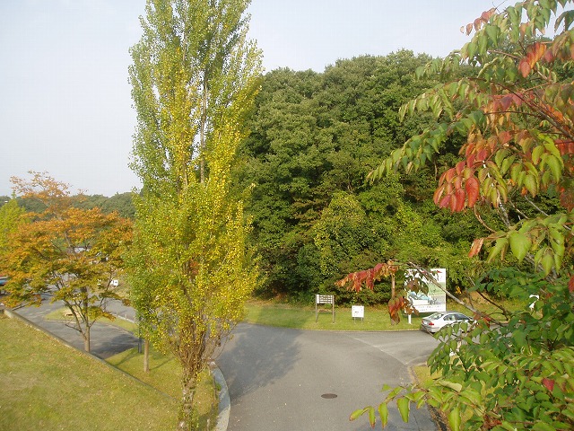 c0107149_7164045.jpg