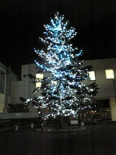 b0085751_14378.jpg