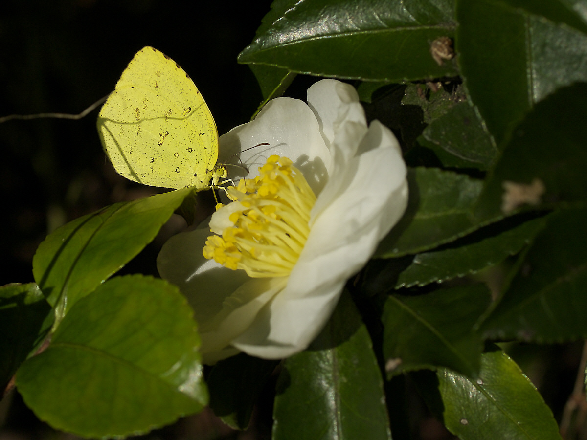 a0089554_2057237.jpg