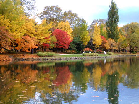 札幌散歩 中島公園 “紅葉散歩”_c0097856_1923320.jpg