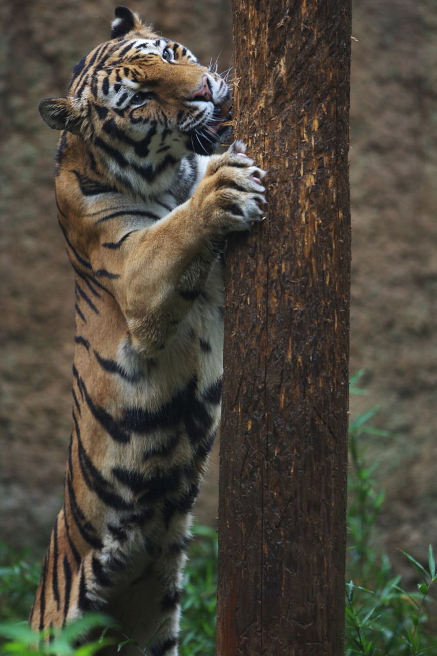 多摩動物公園175_e0060169_744117.jpg