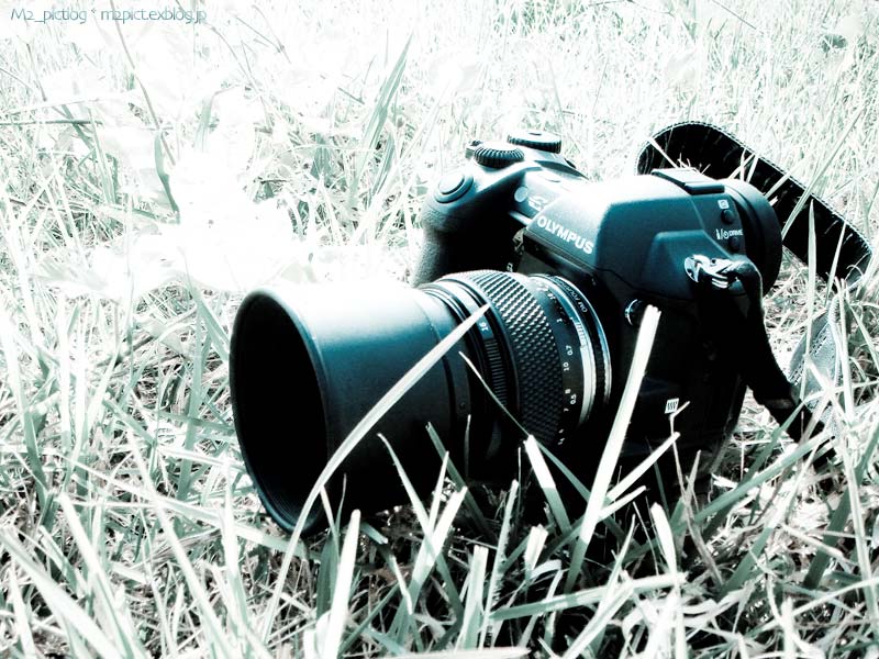 E-1 with OM-Zuiko 50mmF2 Macro + Lens Hood_e0097970_22102754.jpg