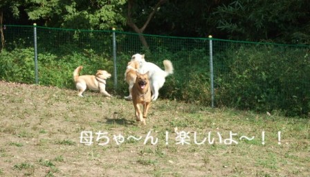 秋晴れの空の下～_b0087400_025316.jpg