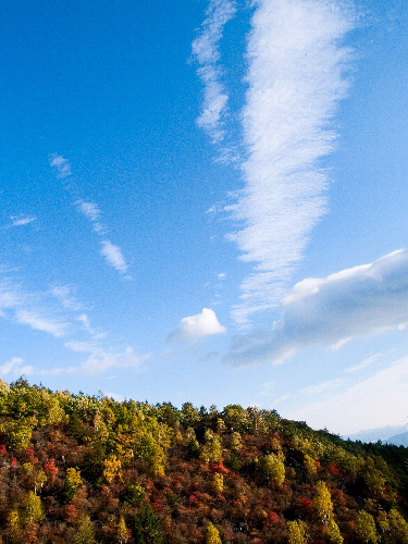 c0008502_10102084.jpg