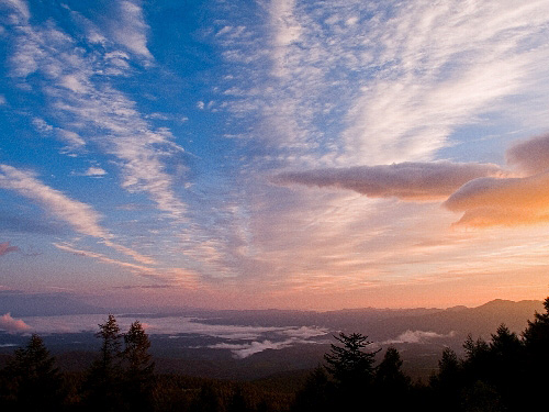 c0008502_6412285.jpg