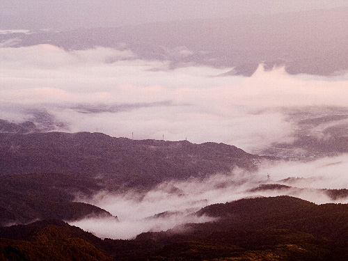 c0008502_894378.jpg