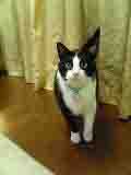 c0129702_22493793.jpg