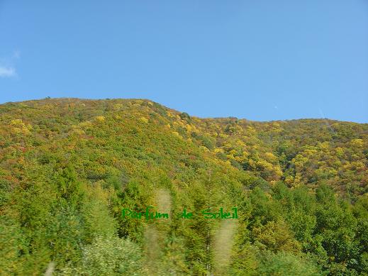 d0087503_2327254.jpg