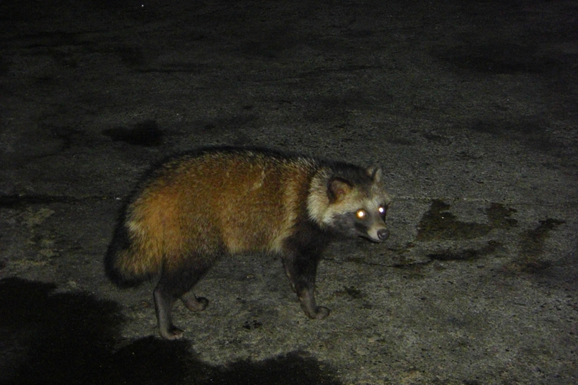 e0063003_1533514.jpg