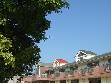 c0138908_13281047.jpg