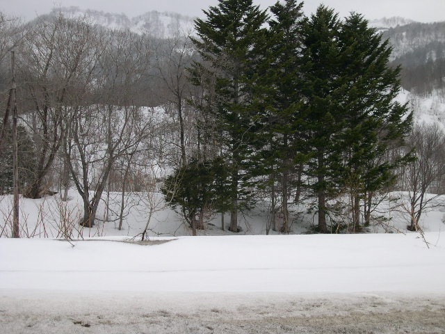 d0119909_2342778.jpg