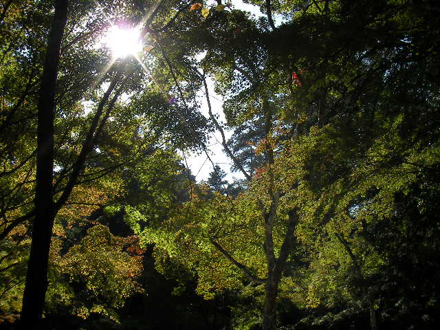 f0054610_10173197.jpg