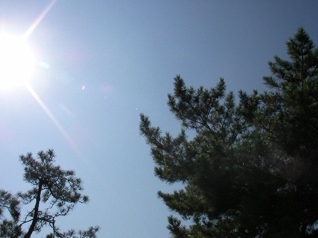 f0054610_104286.jpg