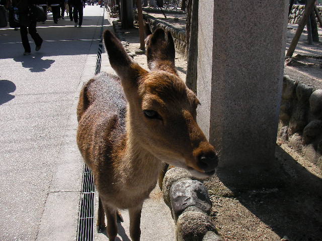 久しぶりの・・・_f0054610_1054494.jpg