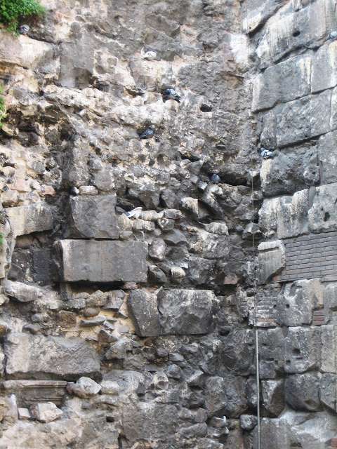b0064411_8274218.jpg