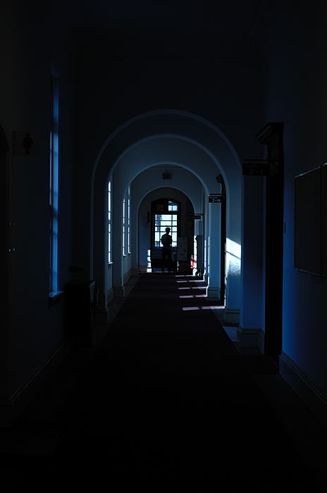 旧京都府庁秋の一般公開 其の二_f0032011_2093245.jpg