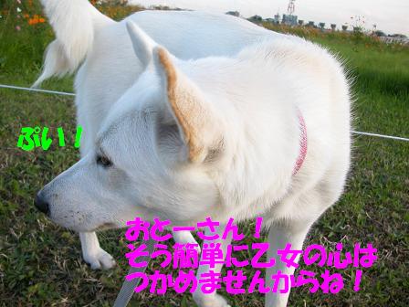 f0121712_2034316.jpg