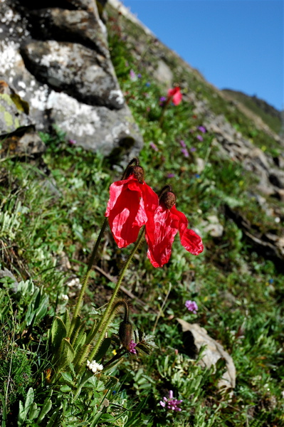 f0115214_100470.jpg