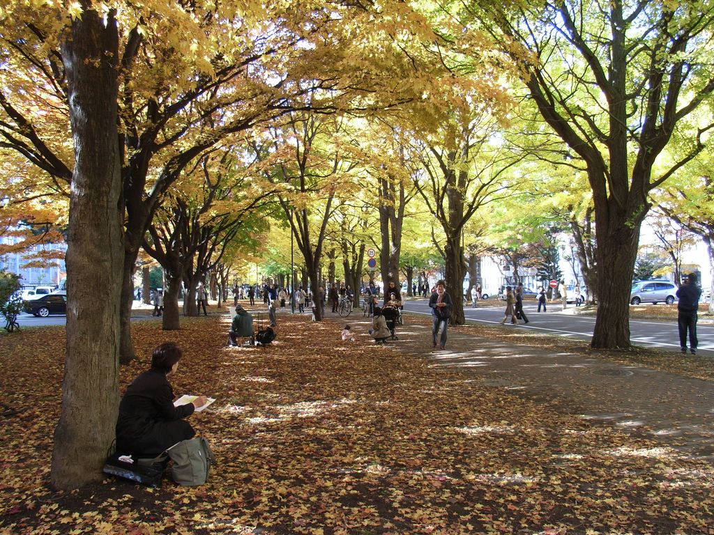 イチョウ_c0025115_21102625.jpg