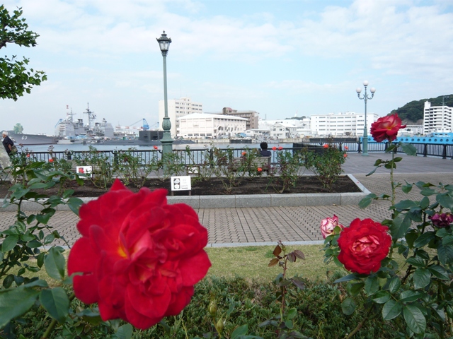 d0065116_19351340.jpg