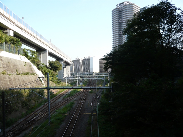 d0065116_19381052.jpg