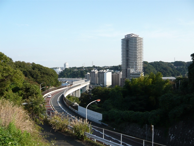 d0065116_19391379.jpg