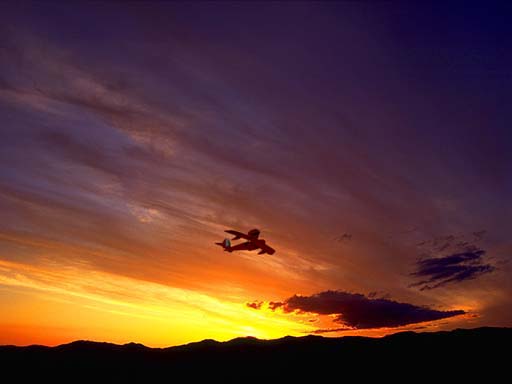 c0083518_1962165.jpg