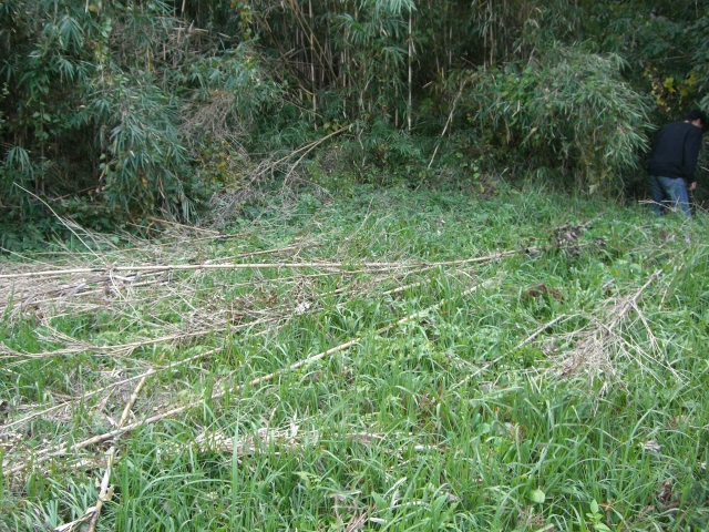 c0126622_21124431.jpg