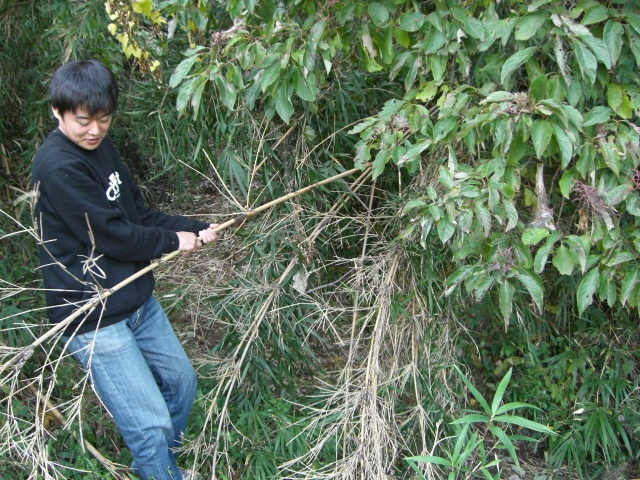 c0126622_21152489.jpg