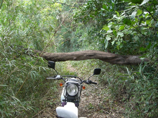 c0126622_21164283.jpg
