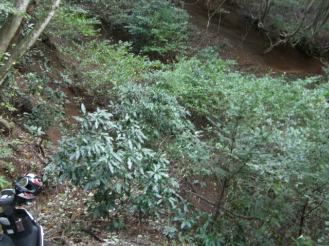 c0126622_21234292.jpg