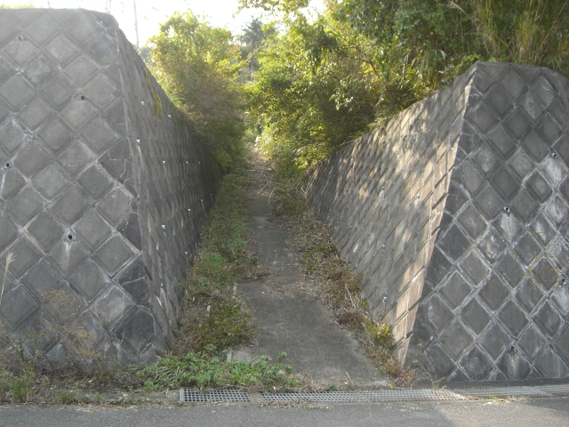 c0126622_2145227.jpg