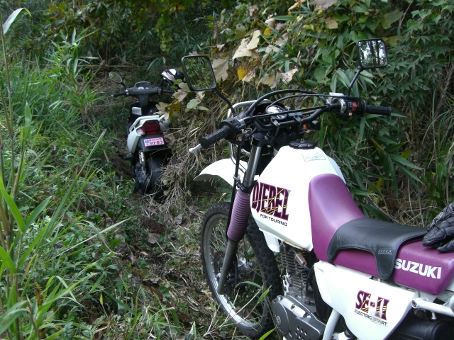 c0126622_2164323.jpg