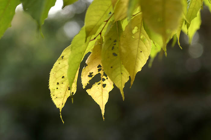 d0089024_201142100.jpg