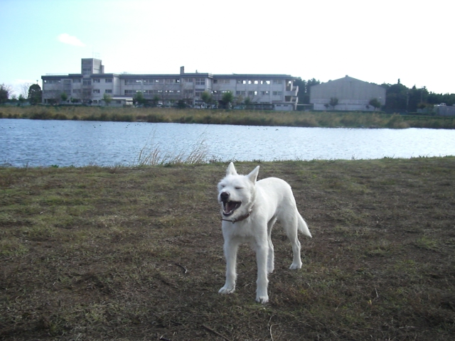 c0123029_14104519.jpg