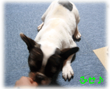 b0078030_213136.gif