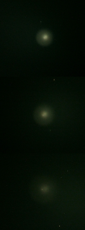 e0089232_2071232.jpg