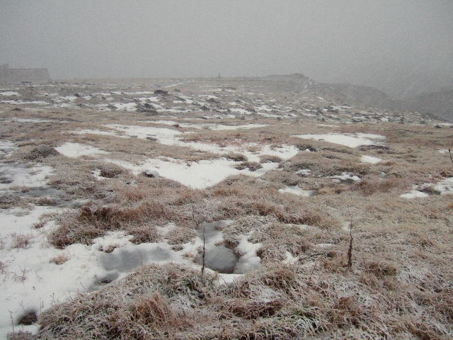 e0064133_14847.jpg