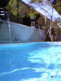 f0063944_11203394.gif